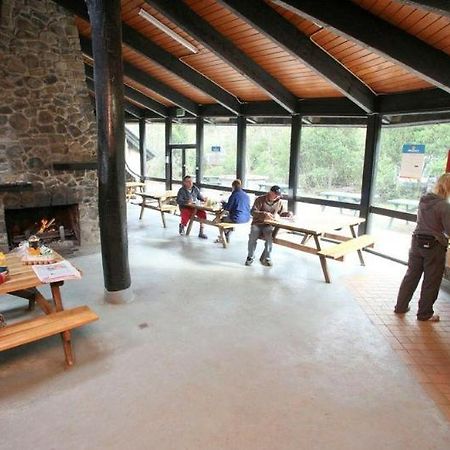 Discovery Parks - Cradle Mountain Accommodation Extérieur photo